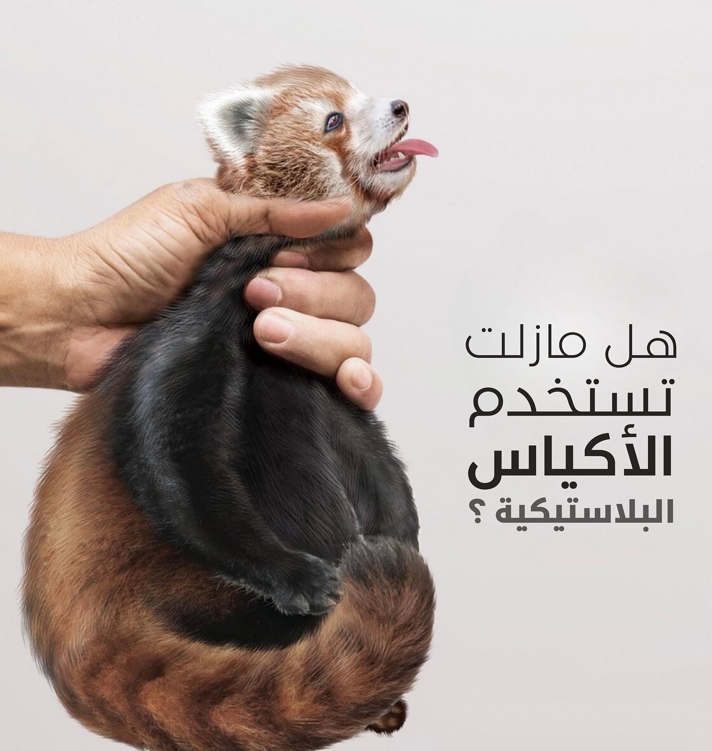 Ova Eco Sustainable Packaging