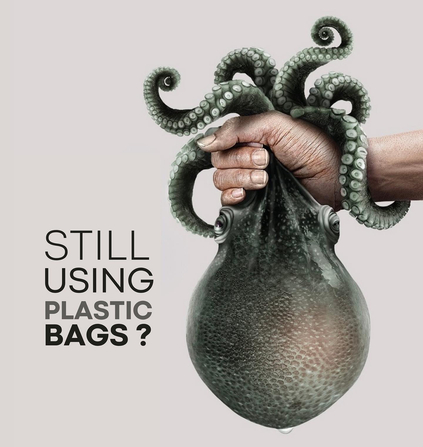 Ova Eco Sustainable Packaging